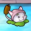 Nqaq