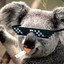 ✪ Koala