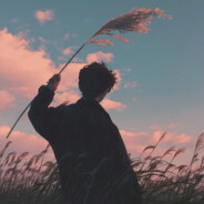 倘若南风知我意