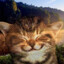 кача