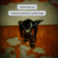 Conquestor