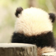 干锅菜花很好吃