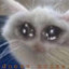 开心不起来