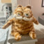 Garfield Lasagn
