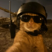 小魚呆呆脑^_-☆