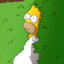 Homer