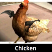 Chicken