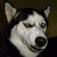 那就给我一枪吧