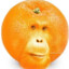 КуниMaN2004