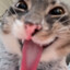 ❂ Evil Freaky Billy