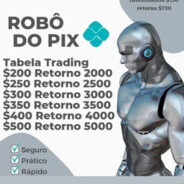 Robô do Pix CSGOSKINS