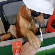 我是你永远得不到的爸爸