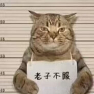 超级波比，波起超比