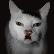 Adult Kitler