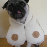 monfrére [ICON_RESOURCE_TOYS]