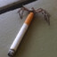 spider smoking