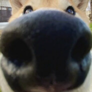 灵魂可以生火吗