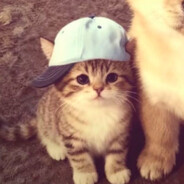 mngl - steam id 76561199016901774