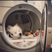 21岁帅气闷骚继父