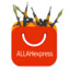 Allah express