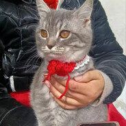 翻斗花园牛爷爷