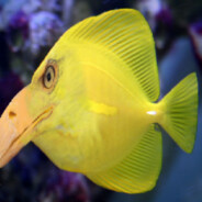 Vaniuu - steam id 76561199121056854