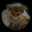 Lucas