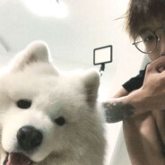 想她的风到处吹