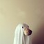 Boo