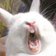 记得绑定手机令牌