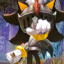 srracoon