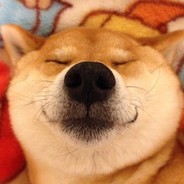 曾经她也是全部