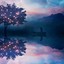 夜曦