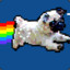 Nyan Dog