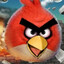 angry bird 123