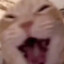 Cursed_1nsanity