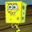 Spongerbib