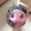 (: