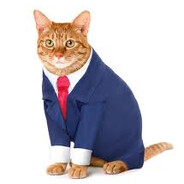 Enter a profile name