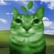 看到黄金就精神