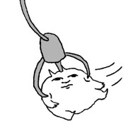 Taabi