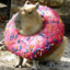 Donut Capybara