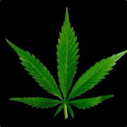 你很迷人但我得回家