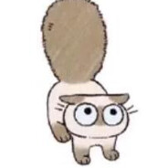 橘猫哒！