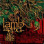 Lamb of God