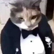 Toosie2