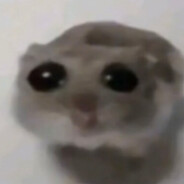 KitCat
