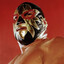 El Luchador