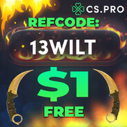 13wilt._.CS2SKINS.GIFT