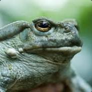 bioc - steam id 76561197964458646